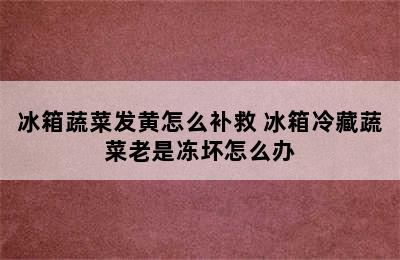 冰箱蔬菜发黄怎么补救 冰箱冷藏蔬菜老是冻坏怎么办